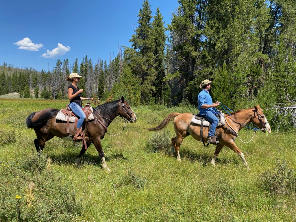 Horseback Riding – Flying Resort Ranches